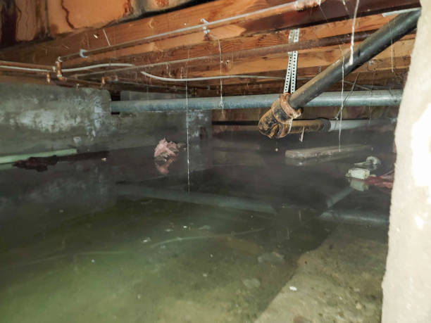 Water damage restoration mold remediation in Creswell, OR