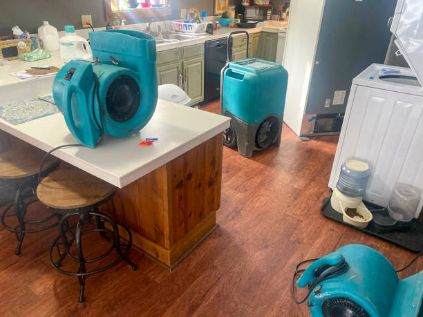 Best Basement water damage restoration  in Creswell, OR