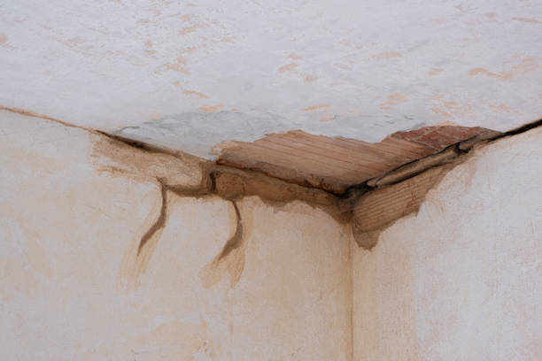Water damage restoration experts in Creswell, OR