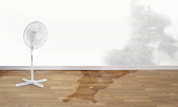 Sewage cleanup and water damage restoration in Creswell, OR
