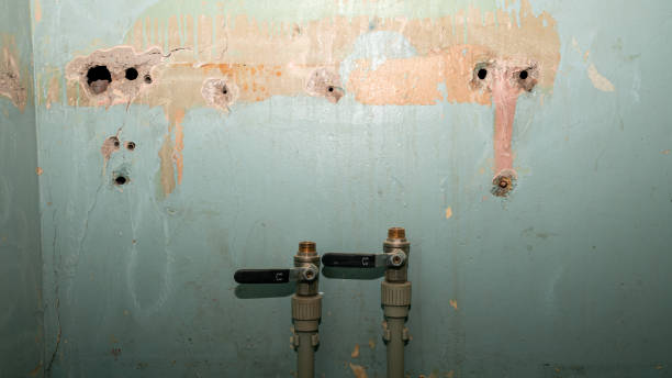 Best Water damage restoration near me  in Creswell, OR