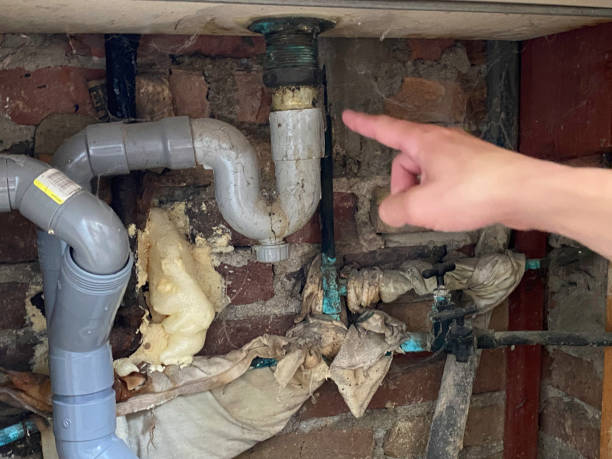 Best Mold removal after water damage  in Creswell, OR