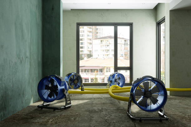 Professional Water damage restoration in Creswell, OR